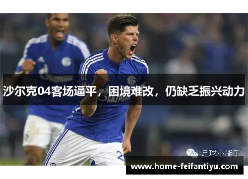沙尔克04客场逼平，困境难改，仍缺乏振兴动力